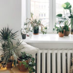 Thumbnail of related posts 129