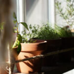 Thumbnail of post image 175