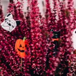 Thumbnail of related posts 041