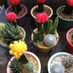 Thumbnail of related posts 063