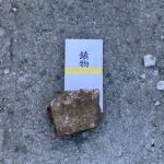 Thumbnail of related posts 183